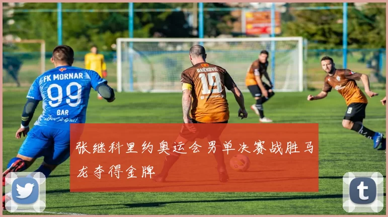 张继科里约奥运会男单决赛战胜马龙夺得金牌